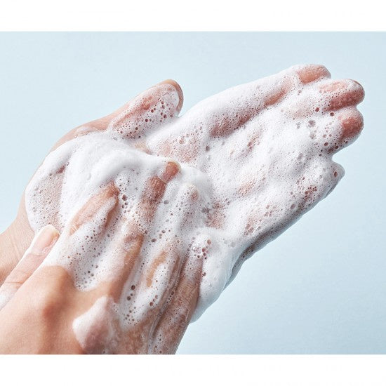 Round Lab 1025 Dokdo Cleanser