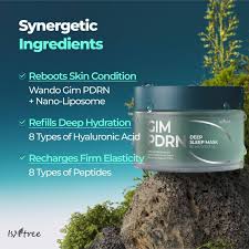 ISNTREE GIM PDRN Deep Sleep Mask